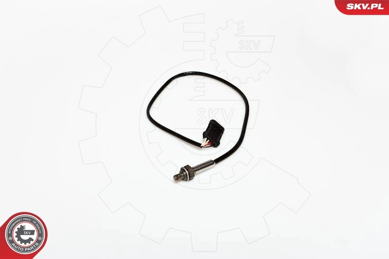 Oxygen Sensor